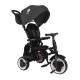 Tricycle Qplay rito + - 6 coloris